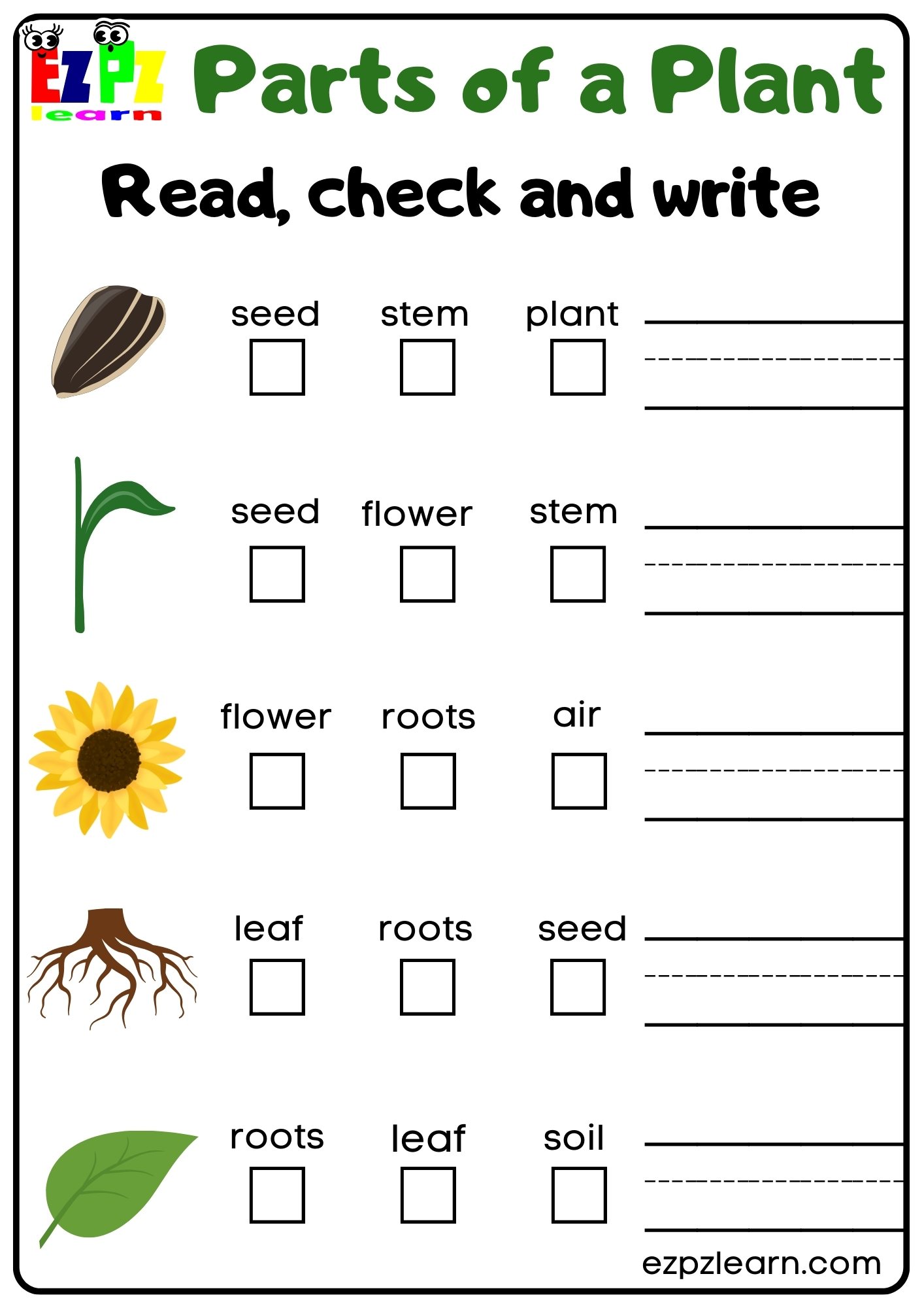Parts of a Plant Read Check and Write Activity for Kindergarten or ESL Students Free Printable PDF Download 